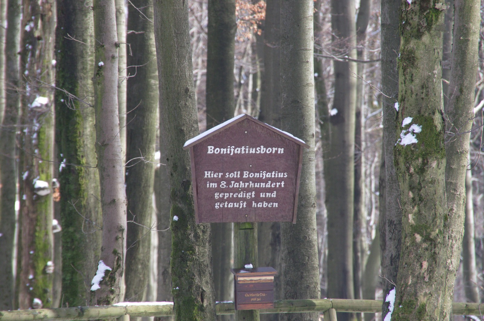 Naturpark Hoher Vogelsberg - ein Osterausflug in den Winter