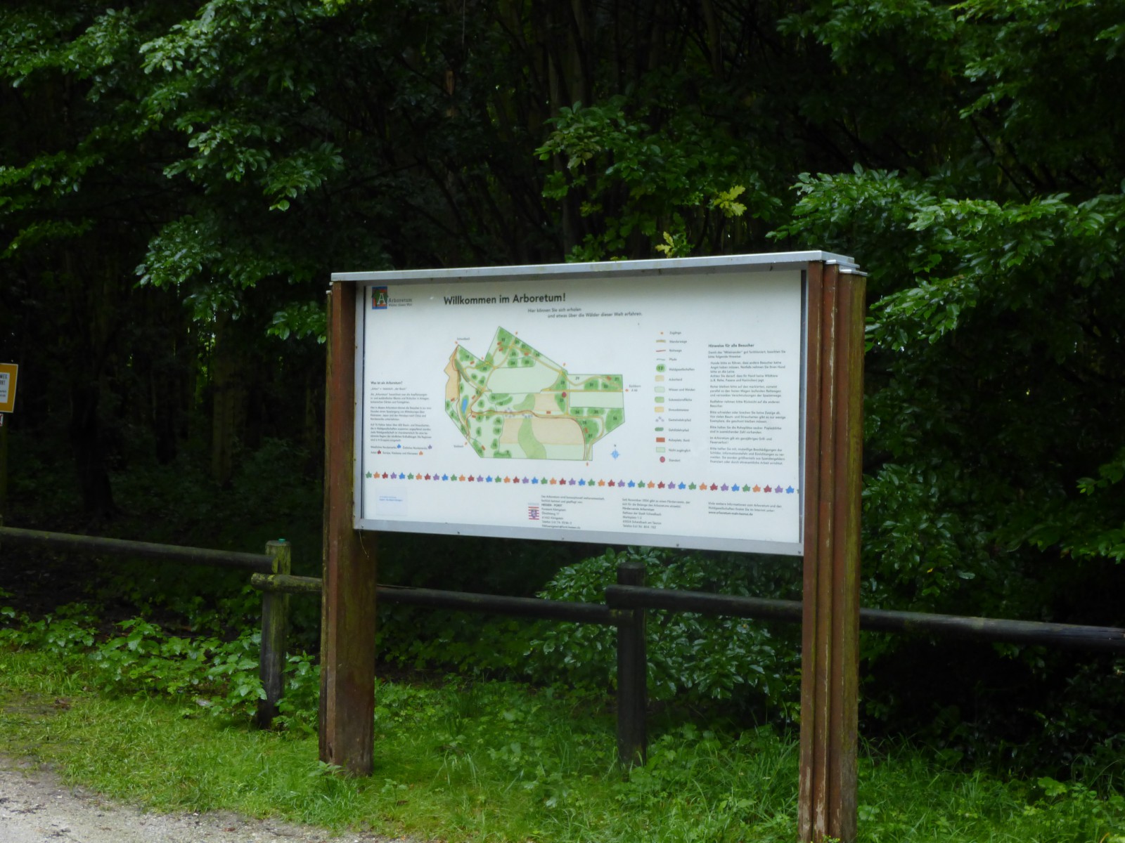 Das Arboretum gibt rund 600 Bäumen und Sträuchern einen Lebensraum
