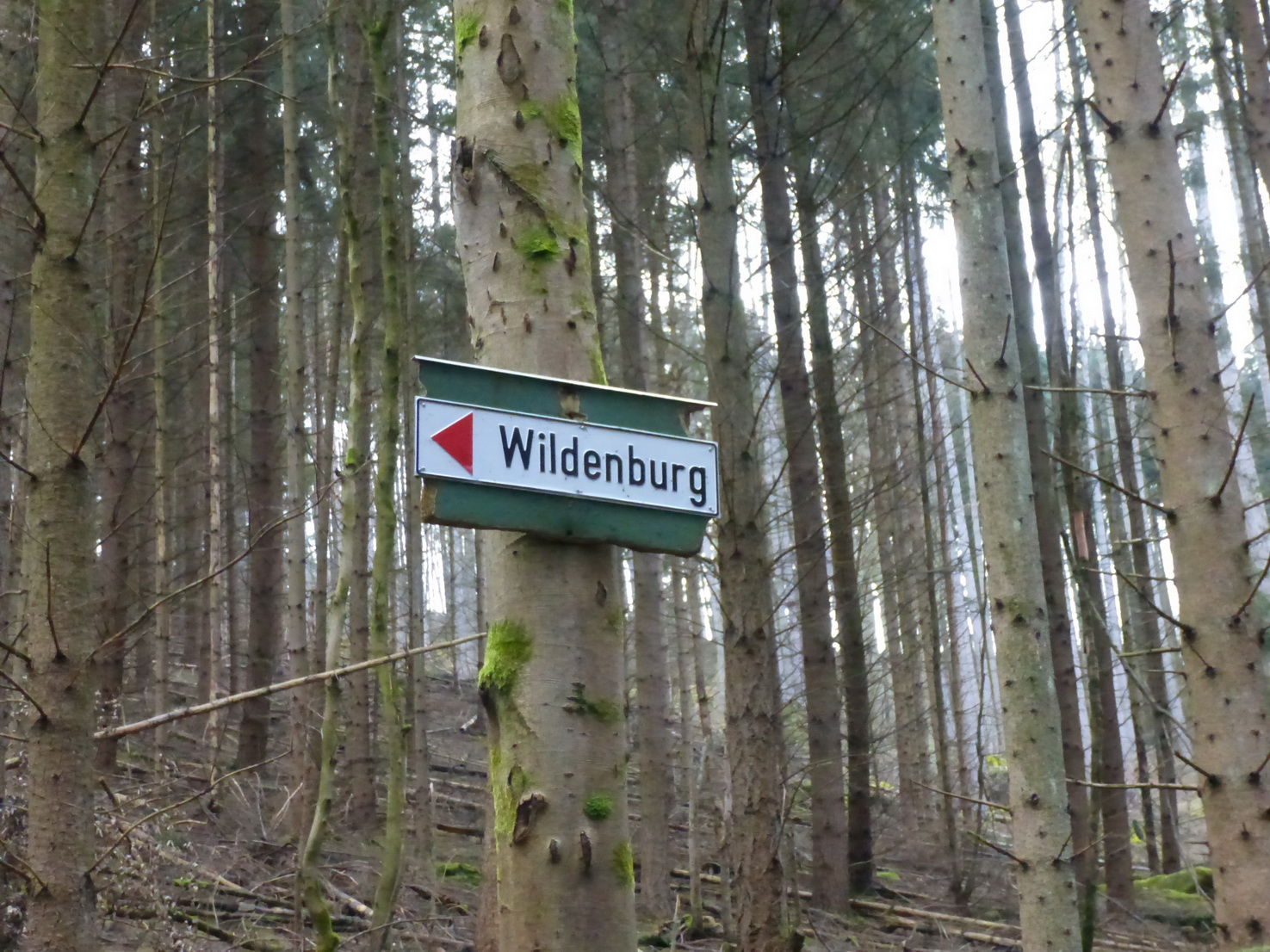 Die Burg Wildenberg wird auch die Wildenburg genannt
