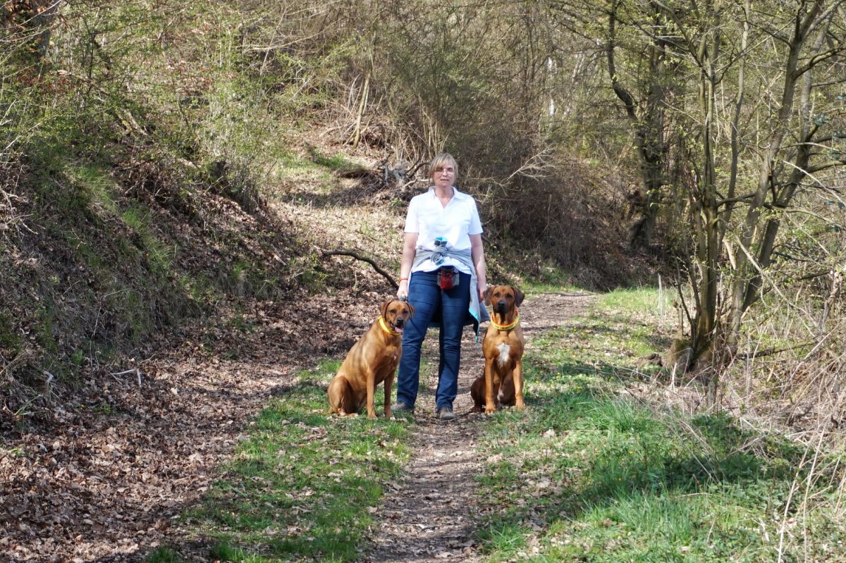 Drei Tipps für geführte Wanderungen mit Hund