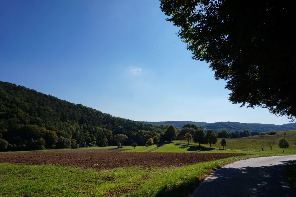 Der rote Milanweg verläuft anfangs auf einem Asphaltweg