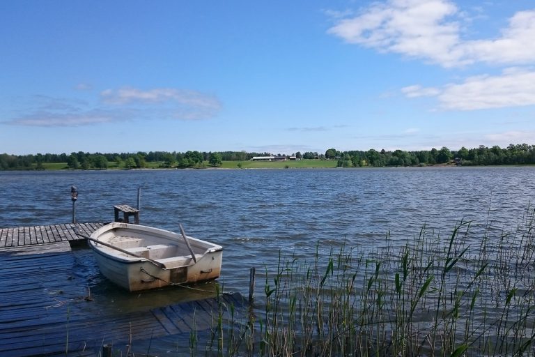 Auf der Fähre nach Schweden mit Hund HundeReisenMehr