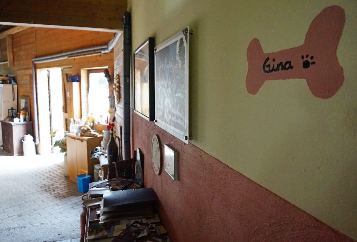 Persönlich getestet: die Seven Valley Ranch im Hunsrück | HundeReisenMehr