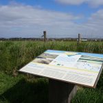 Auch hier gibt es Informationstafel, die über Fauna, Flora und Landwirtschaft auf Texel aufklären