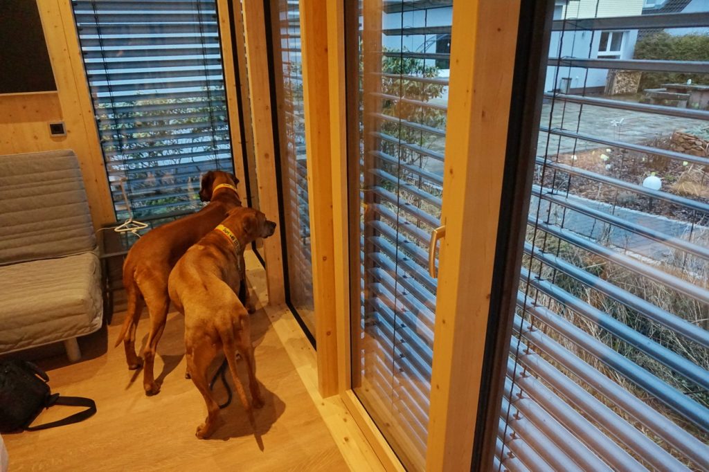 Hundefreundliche Auszeit im Vogelsberg - das mein kleinHOTEL in Herbstein