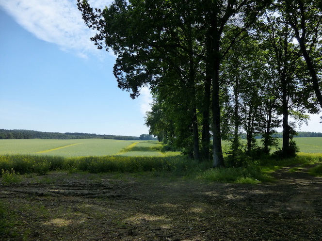 Die Heimat meines Vaters ist Hinterpommern - hier stand einst der Gutshof meiner Großeltern
