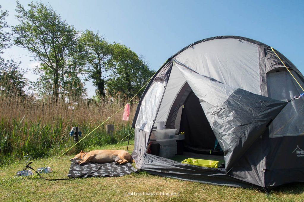 Camping mit Hund - so kann's gehen