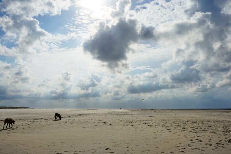 einmal mit dem fahrrad rund um texel