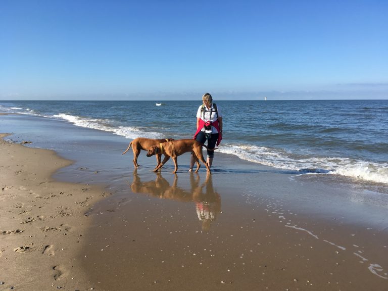 einmal mit dem fahrrad rund um texel