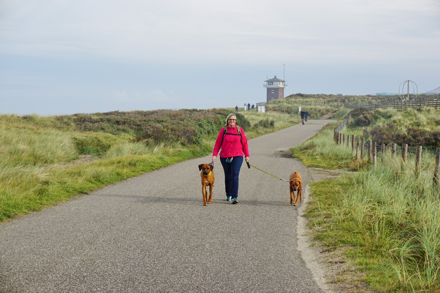 Beim Spaziergang durch das Dünen-Naturschutzgebiet gehören Vierbeiner an die Leine.