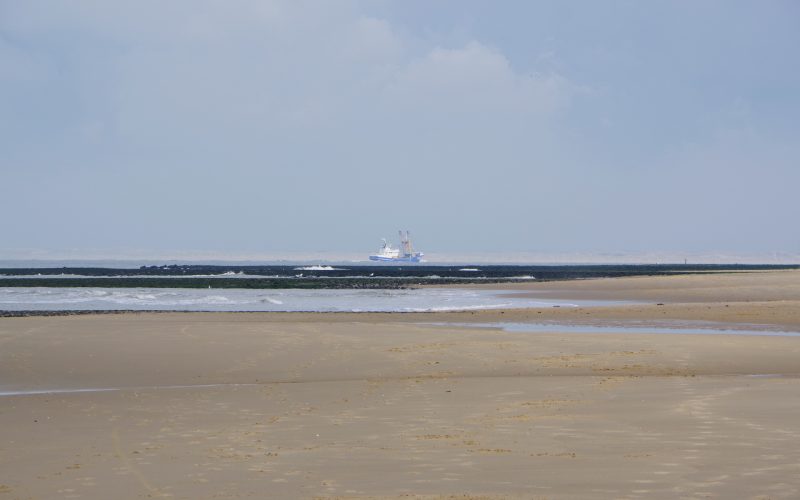 Weiter Blick bis zum Hafen von Den Helder