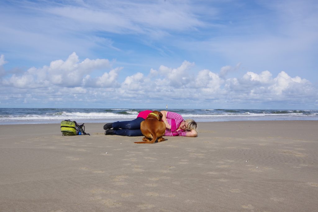 Dayos Gedanken - ein Nachmittag am Strand von De Koog