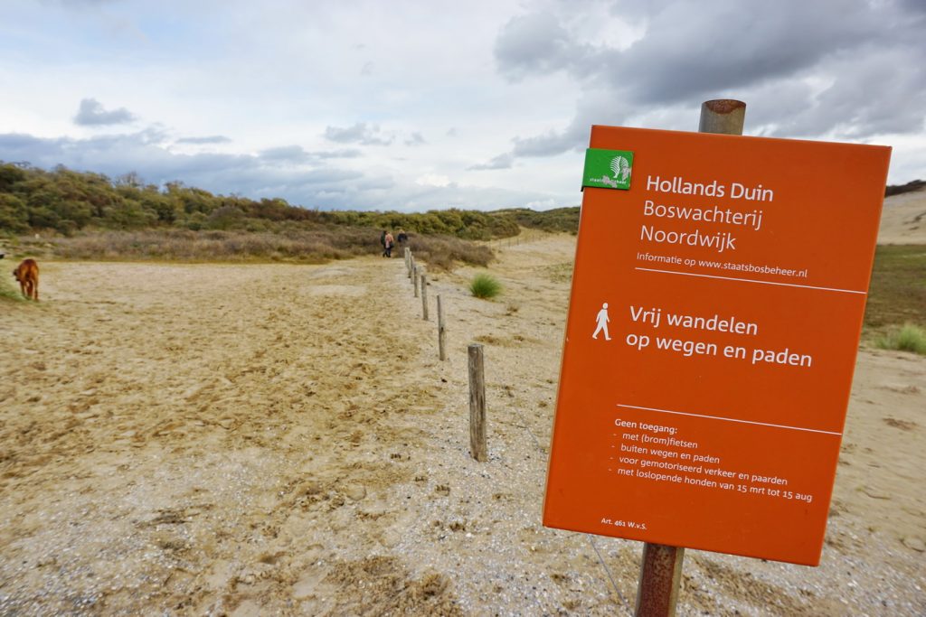 Noordwijk - viel Natur und noch mehr Strand