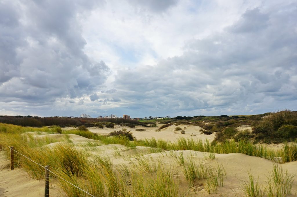 Noordwijk - viel Natur und noch mehr Strand