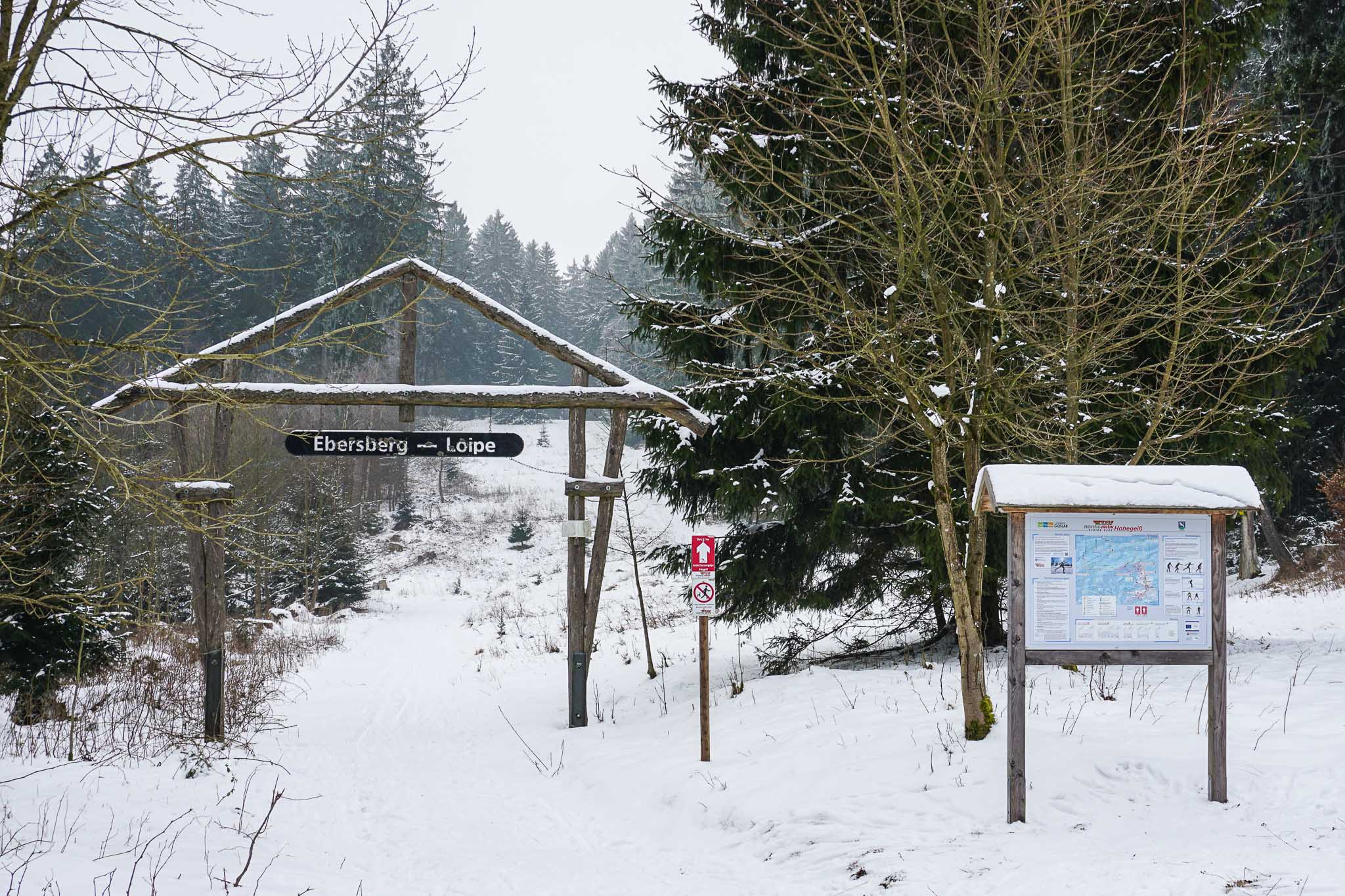 Winterwandern im Harz - rund um den Ebersberg | HundeReisenMehr