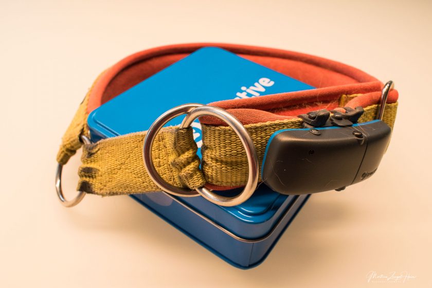 Der Tractive GPS Tracker für Hunde im Test HundeReisenMehr