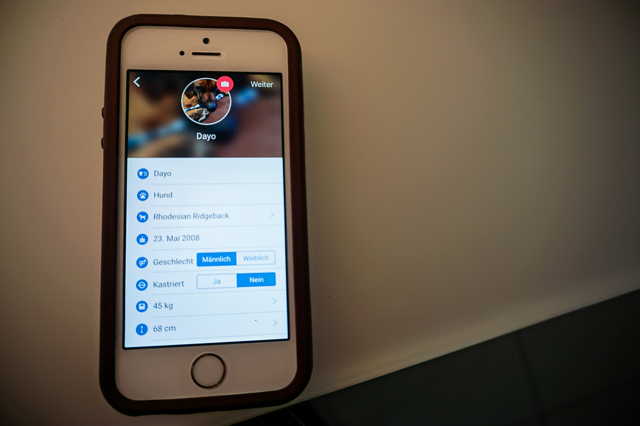 Der Tractive GPS Tracker für Hunde im Test HundeReisenMehr