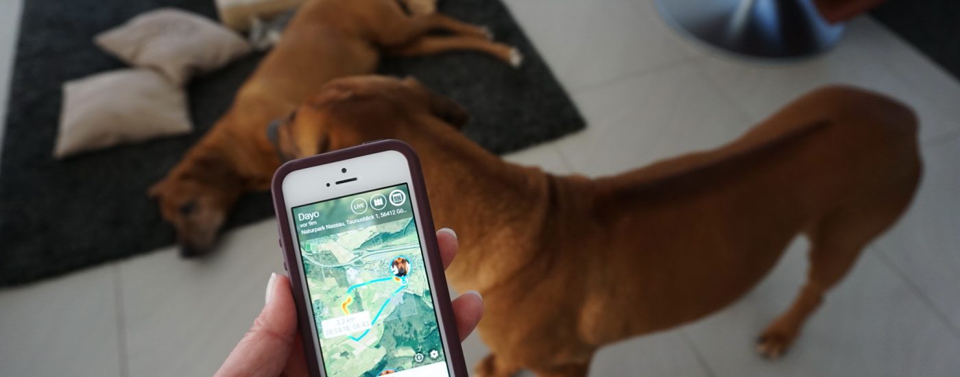 Der Tractive GPS Tracker für Hunde im Test