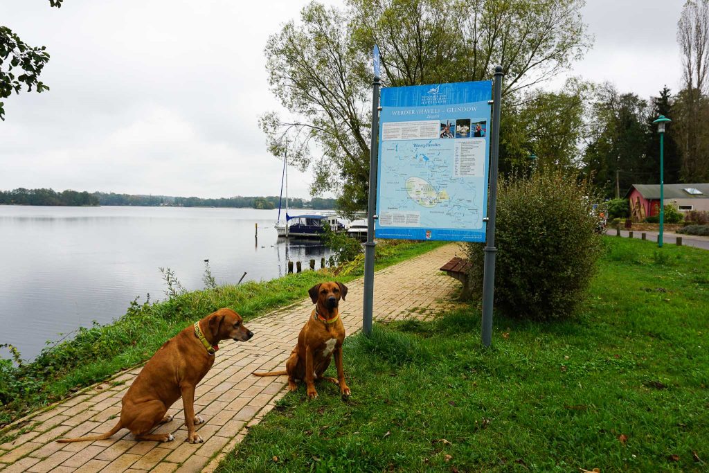 4 Tipps Fur Ein Wochenende In Werder An Der Havel Hundereisenmehr