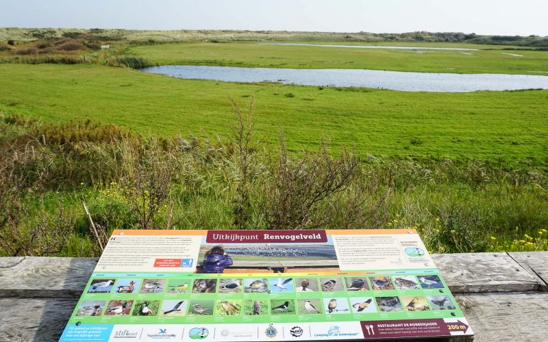 Infotafeln informieren über das Vogelschutzgebiet am nächsten Aussichtspunkt