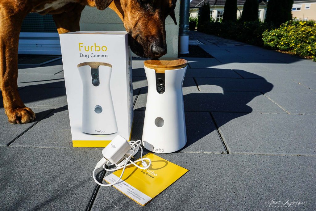 Dank der Furbo Hundekamera beruhigter ohne Hunde unterwegs sein