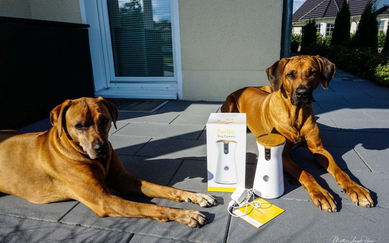 Hundereisenmehr Seite 3 Das Blog Rund Um Hunde Reisen Und Mehr