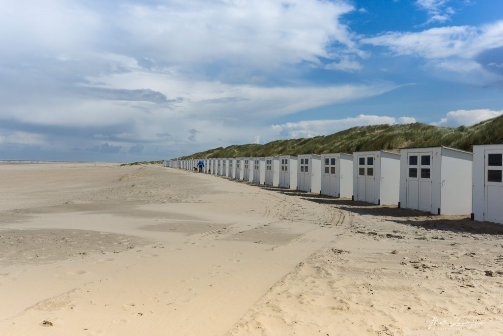 In vielen Strandhäuschen auf Texel sind auch Hunde willkommen