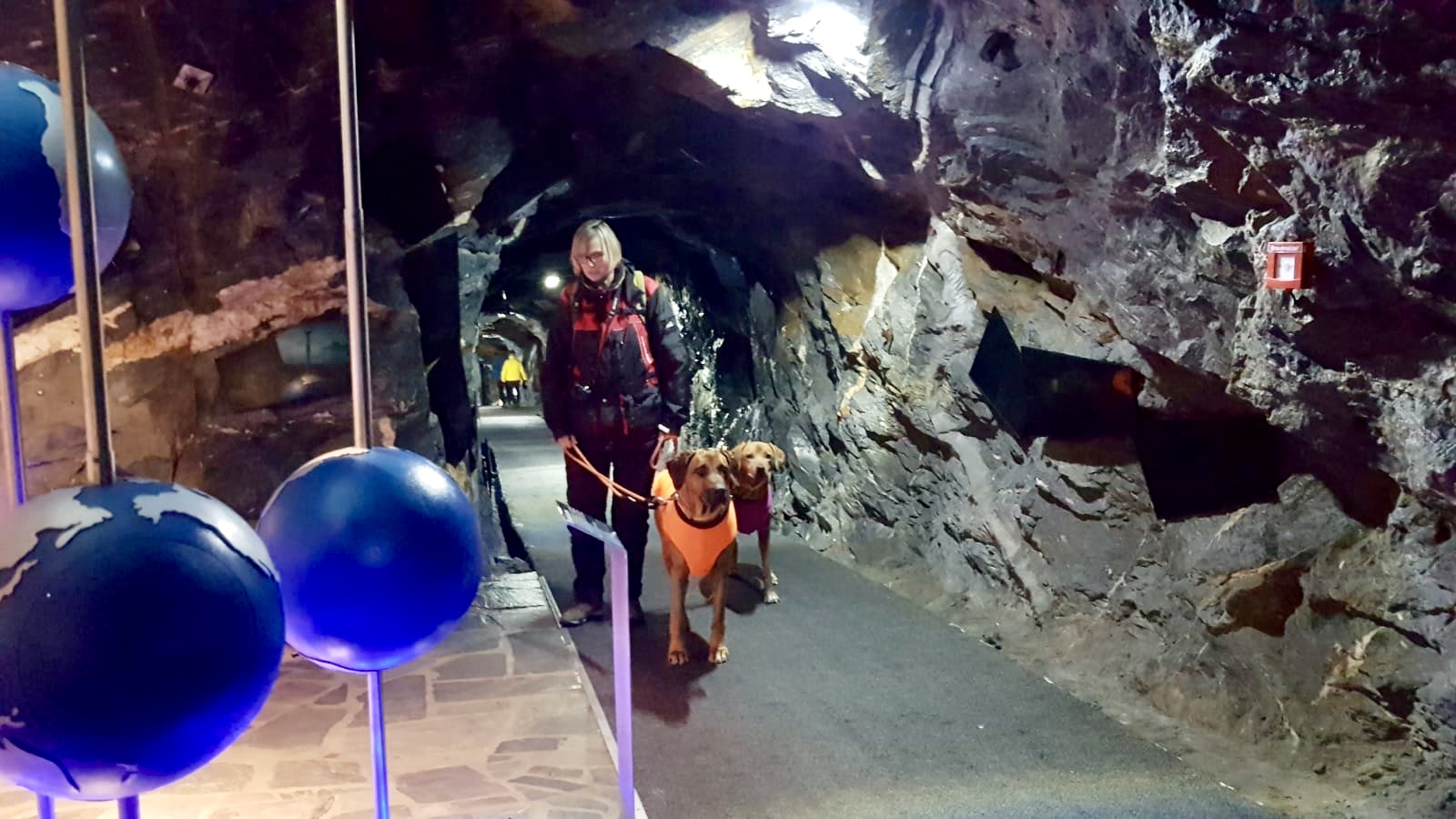Mit Hund auf das Kitzsteinhorn