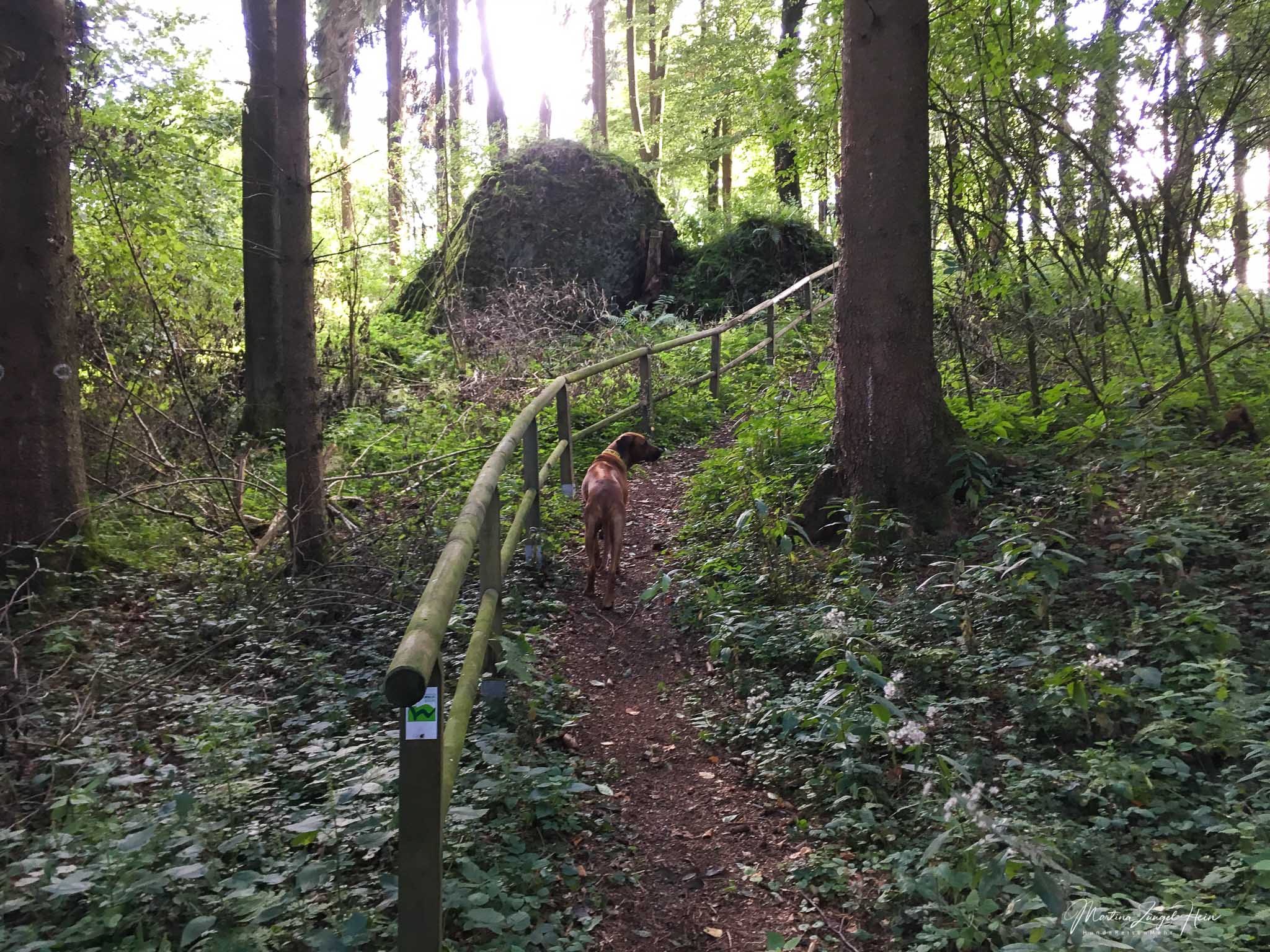 WesterwaldSteig Etappe 6 mit Hund