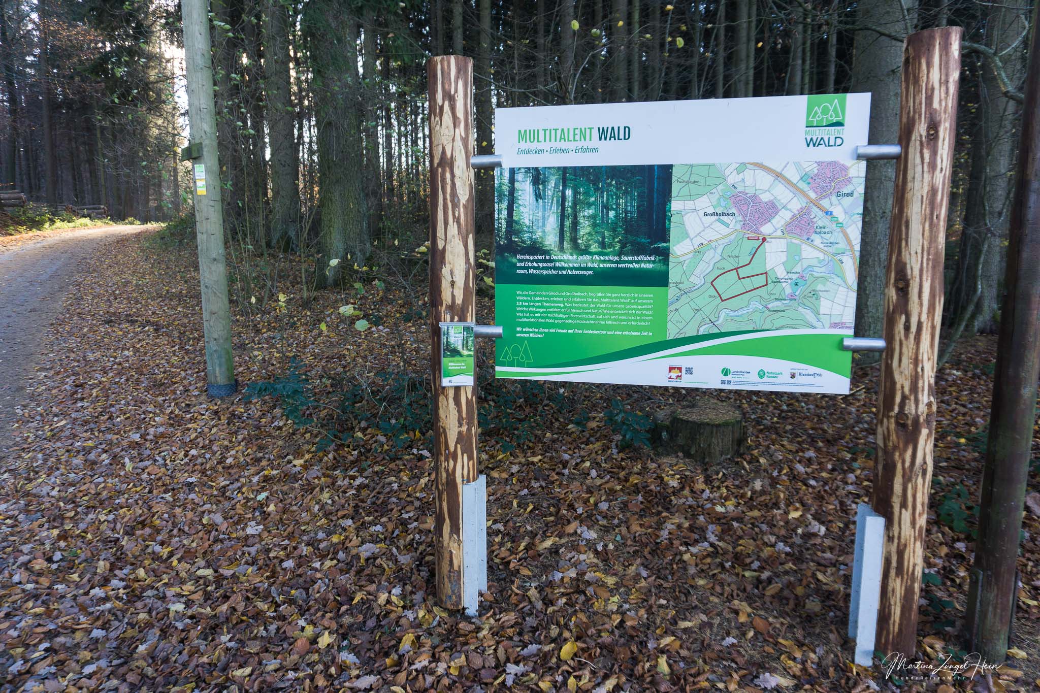 Die Wäller Tour Multitalent Wald startet auf dem Wanderparkplatz kurz vor Großholbach