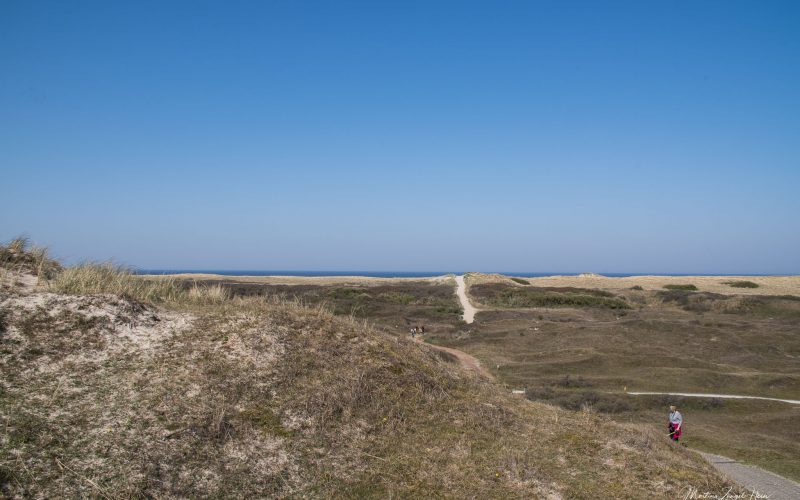 Blick über die herrliche Dünenlandschaft von Texel