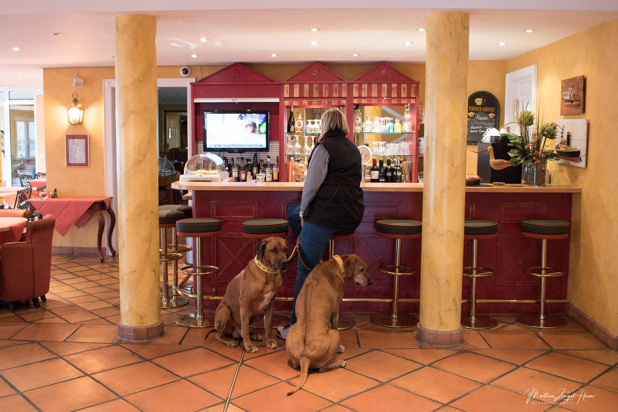 Das Strandhotel Sylt in Westerland - Hunde herzlich willkommen