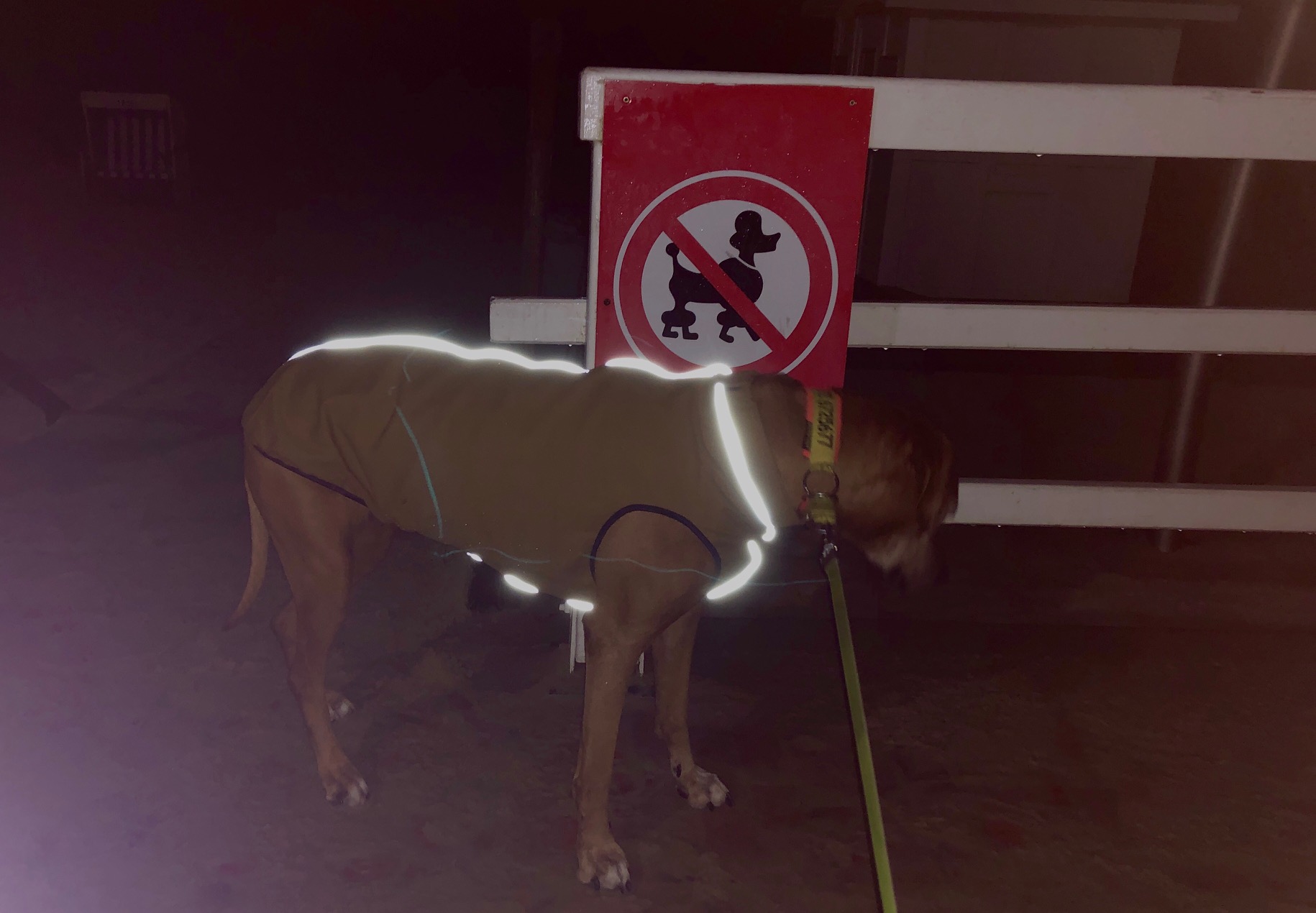 Das Strandhotel Sylt in Westerland - Hunde herzlich willkommen