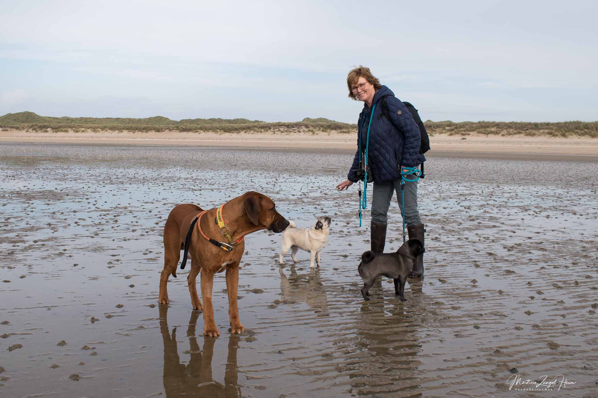 Morsum Kliff und Lister Ellenbogen mit Hund