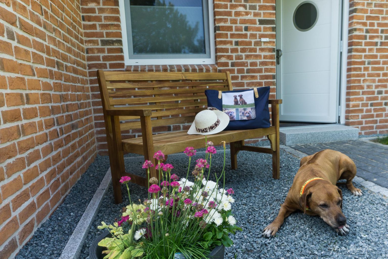 Urlaub mit Hund in einem Naturhäuschen HundeReisenMehr