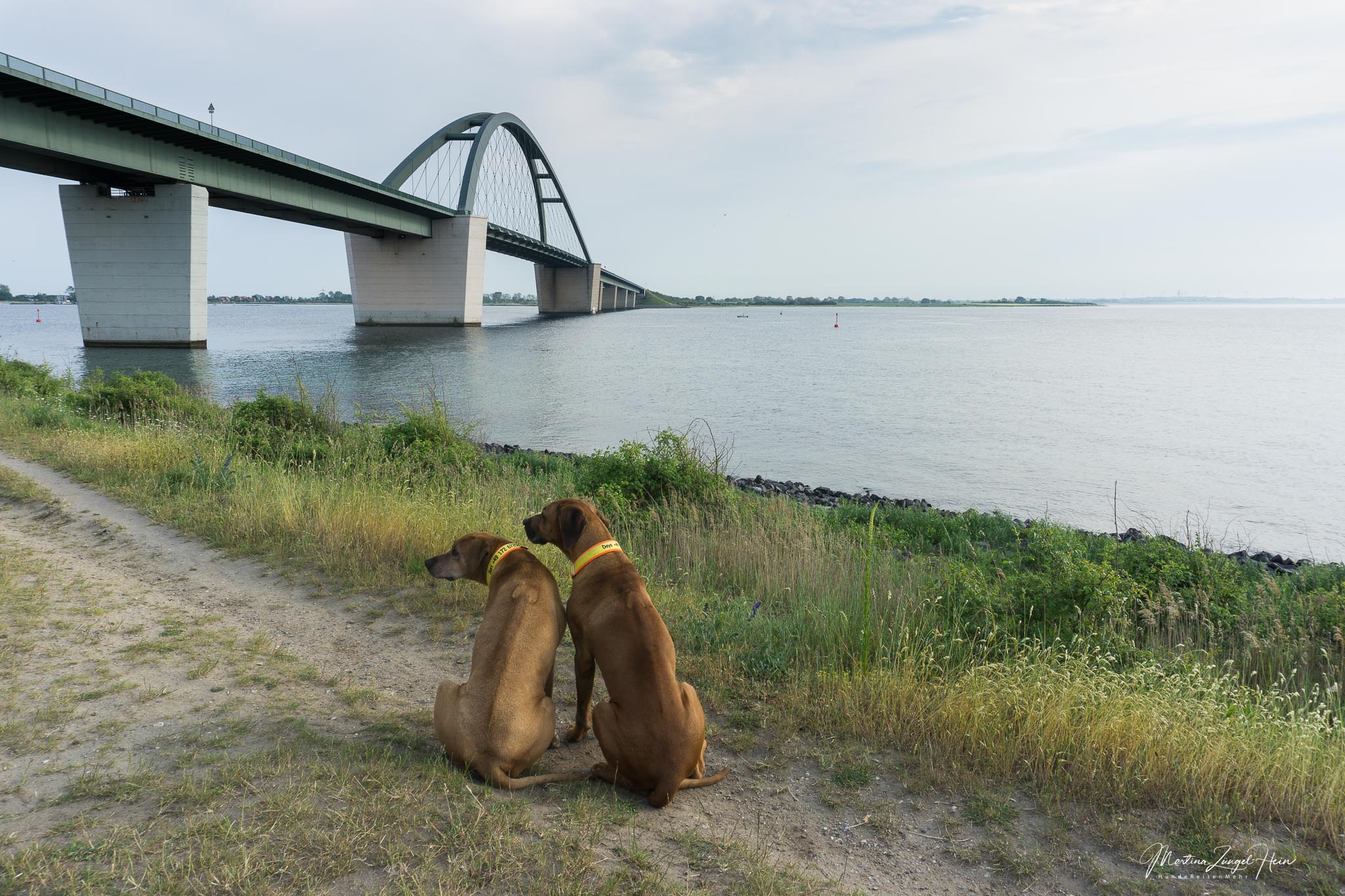 Dayo und Suri posieren vor der Brücke