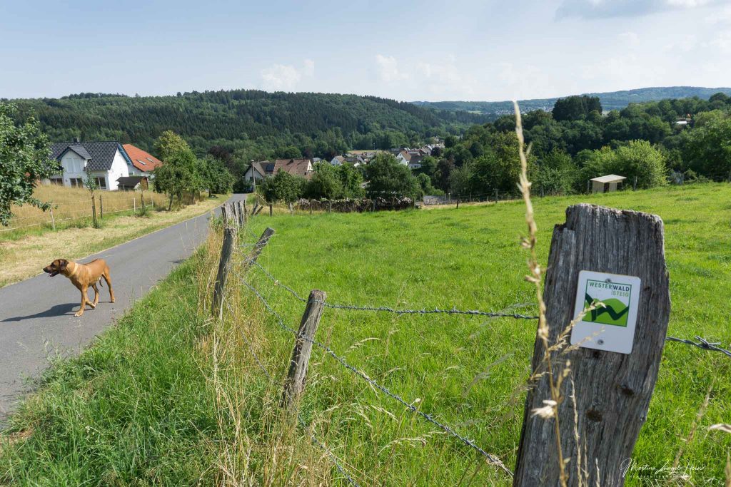 WesterwaldSteig Etappe 9 - von Hachenburg nach Limbach