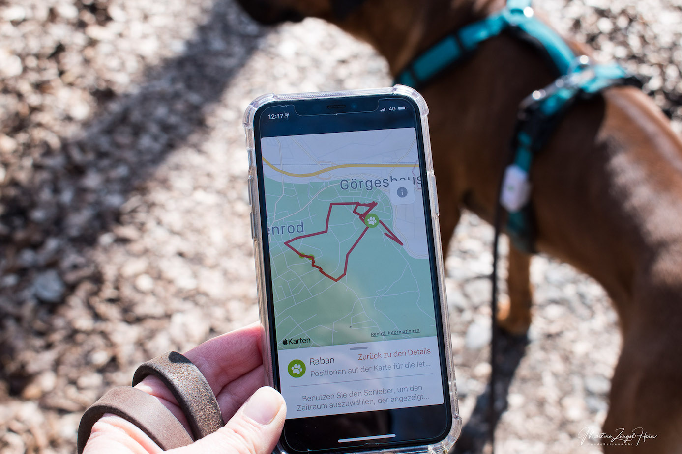 Auch im Westerwald habe ich einen guten Empfang für den Weenect GPS Tracker für Hunde