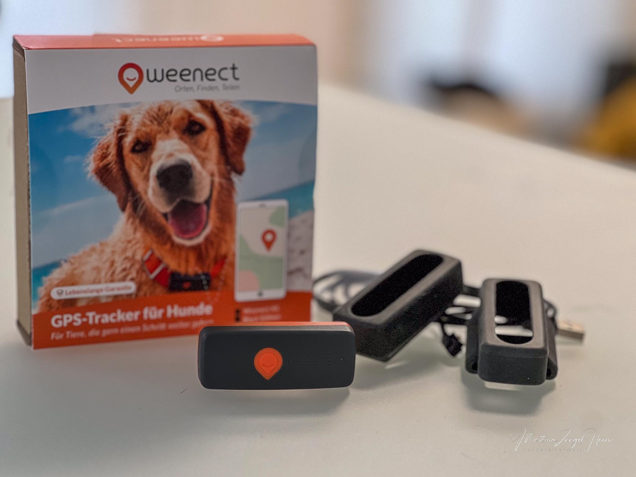 Vom 17. November 2023 bis zum 17. Dezember 2023 gibt es den Weenect GPS-Tracker für Hunde zum Sonderpreis. 