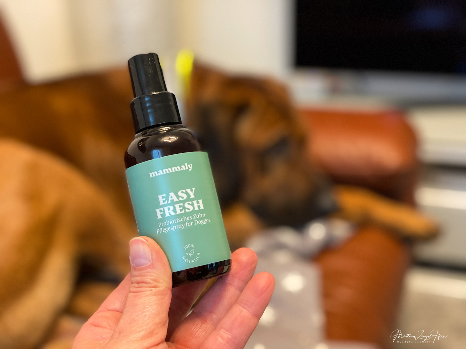 Raban testet Easy Fresh, ein Zahnpflege-Spray für Hunde