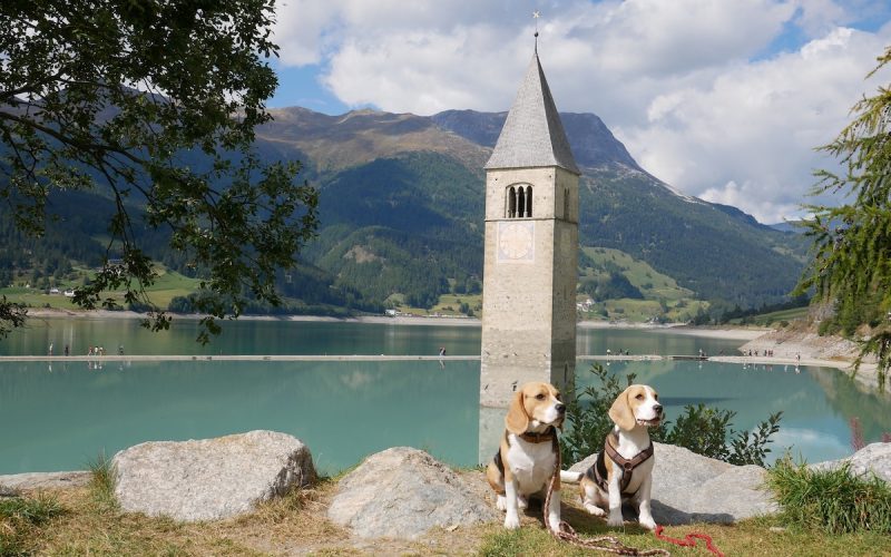 Auch der Reschensee ist ein beliebtes Fotomotiv in Südtirol