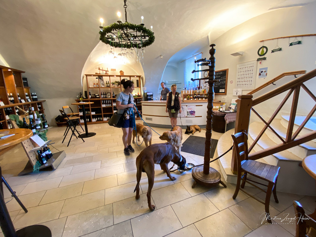 Baden bei Wien mit Hund - in der Hauervinothek sind Hunde herzlich willkommen
