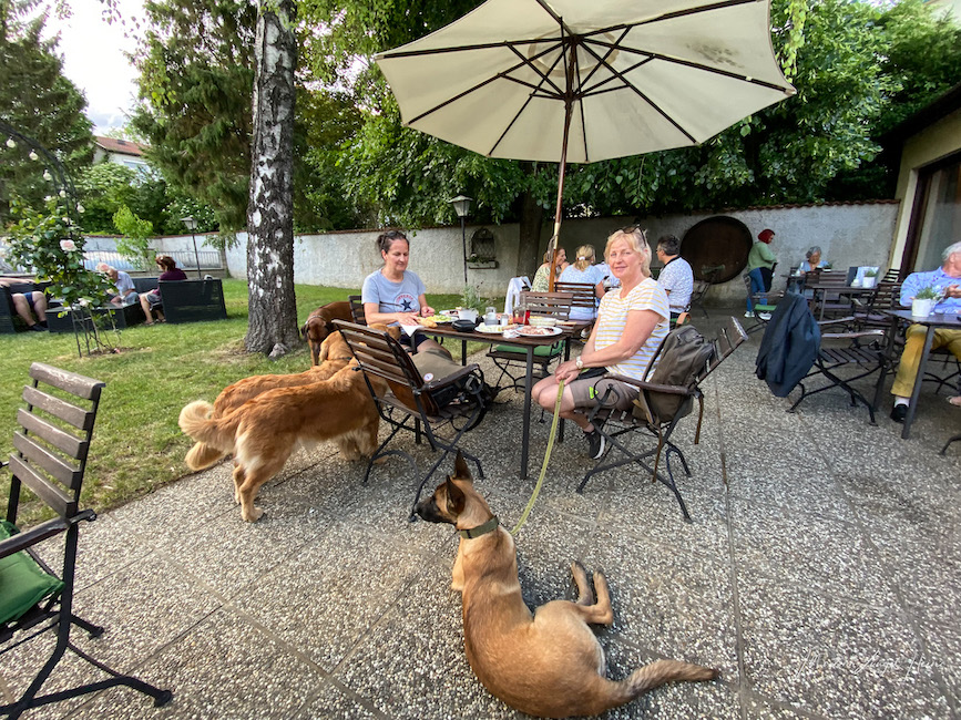 Wer in Baden bei Wien mit Hund unterwegs ist, kann auch Heurigen-Lokale problemlos besuchen