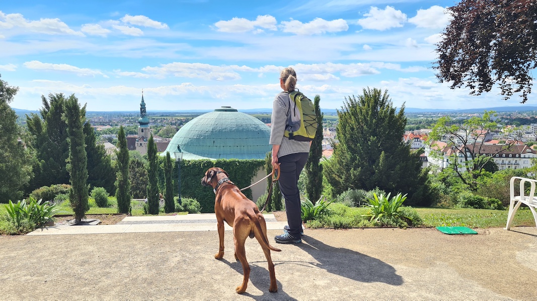 Baden bei Wien mit Hund - eine zauberhafte Bäderstadt mit mediterraner Atmosphäre