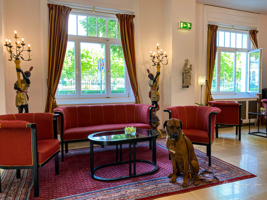Hotel Herzoghof - Hunde sind hier sehr willkommen