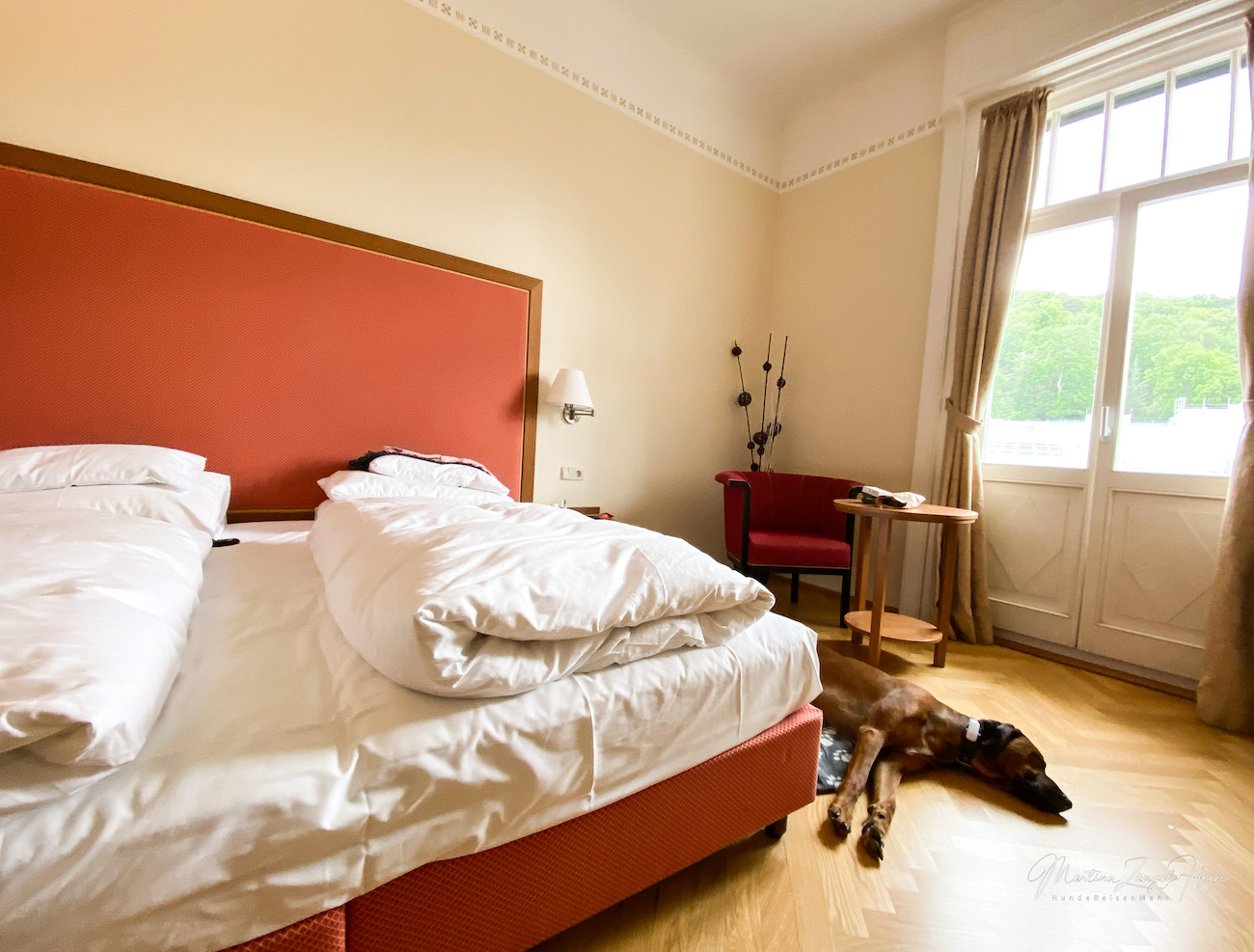 Hotel Herzoghof - Jugendstil und ein Herz für Hunde! Raban hat sich wohlgefühlt