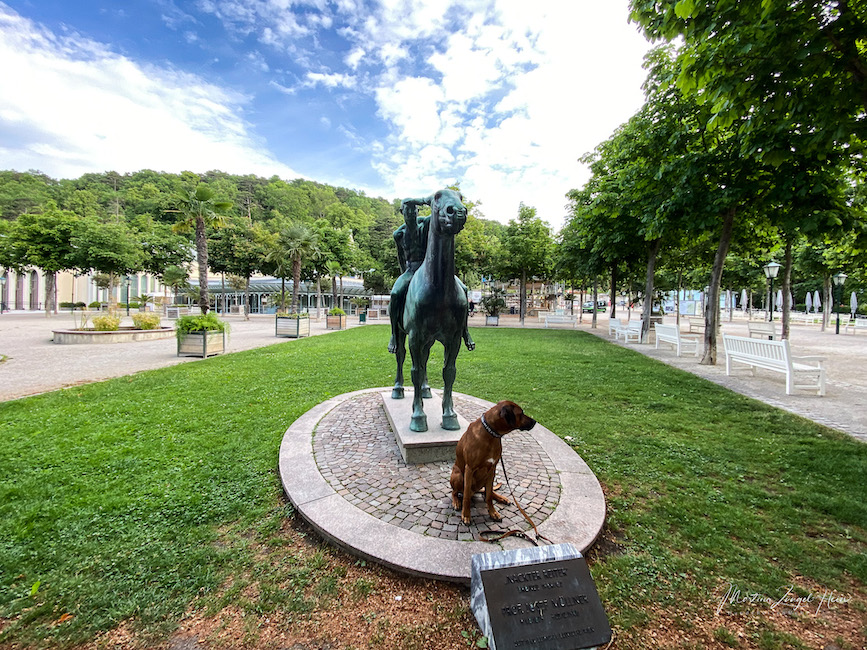 Raban hat sich nicht so besonders für die Statue "Der nackte Reiter" im Kurpark von Baden bei Wien interessiert
