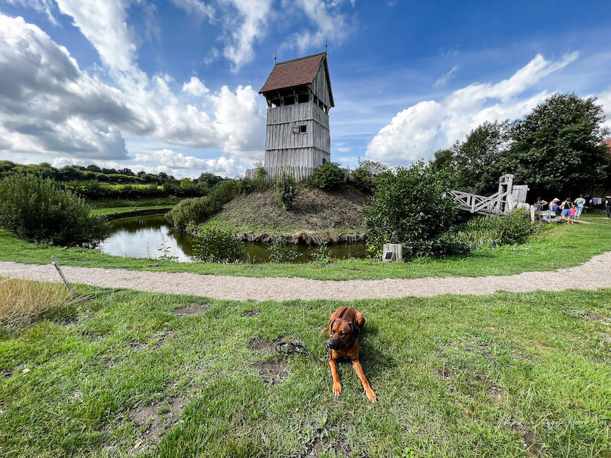 Mein Top 1 Tipp für die Hohwachter Bucht mit Hund ist die Turmhügelburg in Lütjenburg. Hier sind Hunde willkommen.