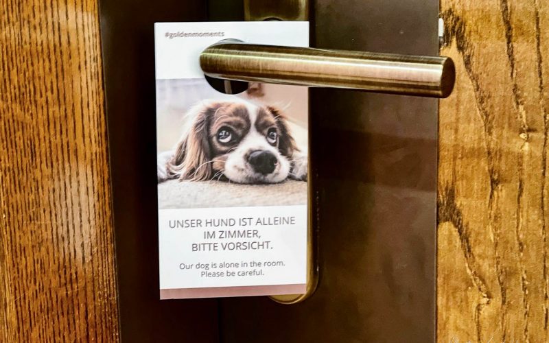 Türhänger im Hotel Goldener Berg, der darauf aufmerksam macht, dass ein Hund alleine auf dem Zimmer ist