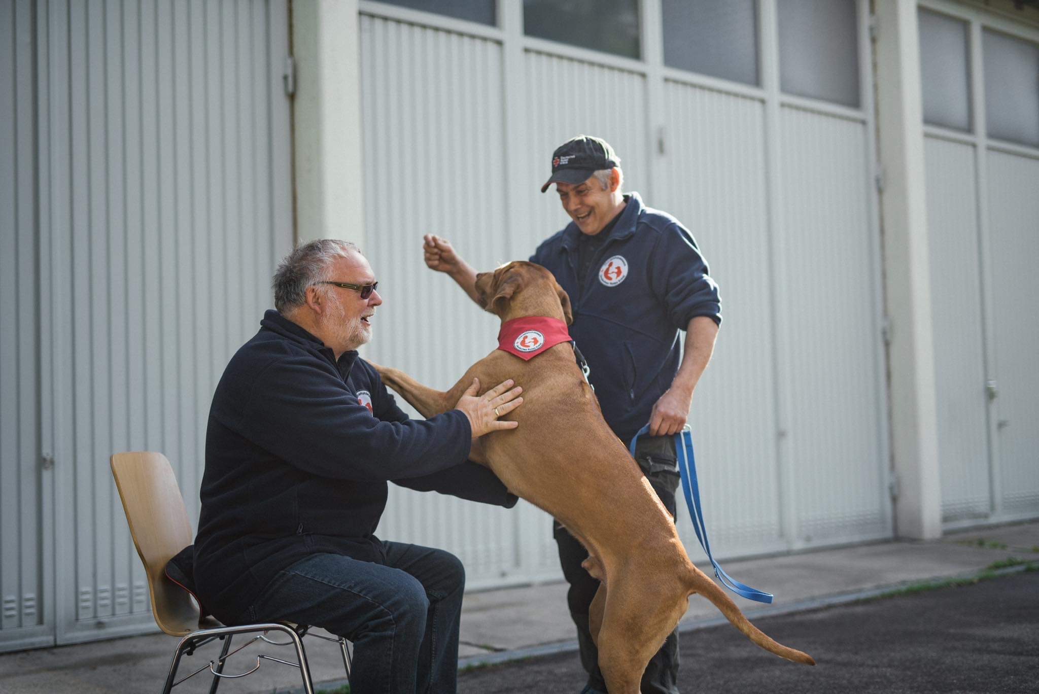 Samir mit Herrchen Frank bei der Ausbildung zum Therapiehund